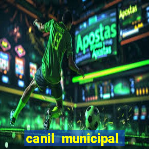 canil municipal porto alegre